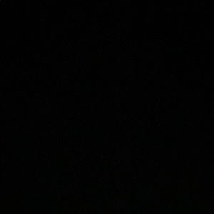 Meet your Posher, Rocco